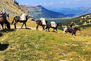 Yellowstone Horse & Mule - full day trail rides