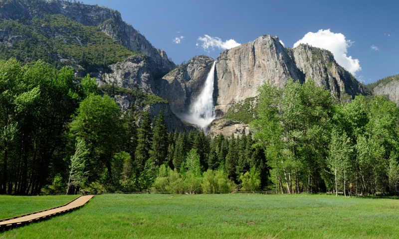 Yosemite National Park