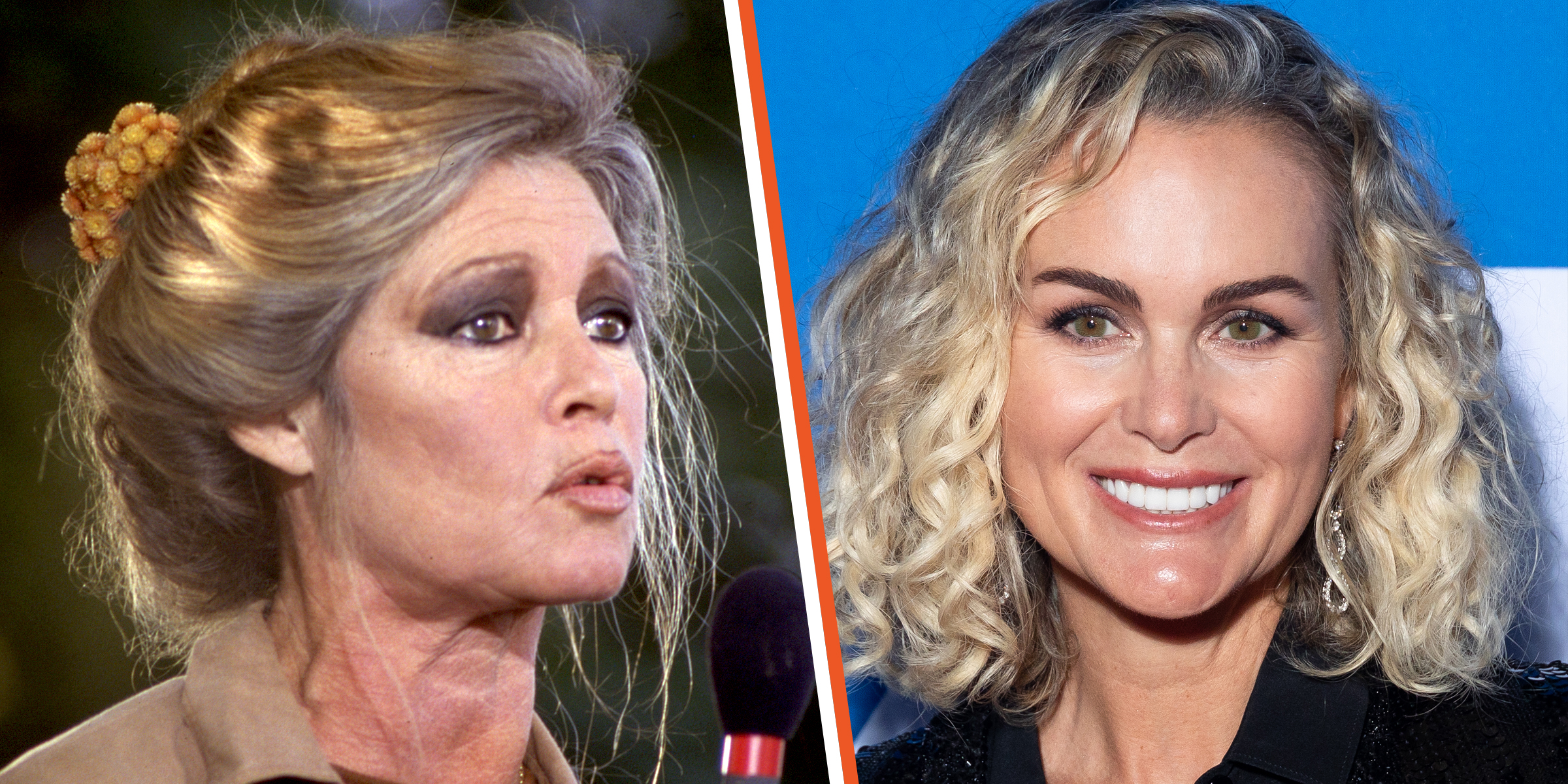 Brigitte Bardot et Laeticia Hallyday à 47 ans | Source : Getty Images