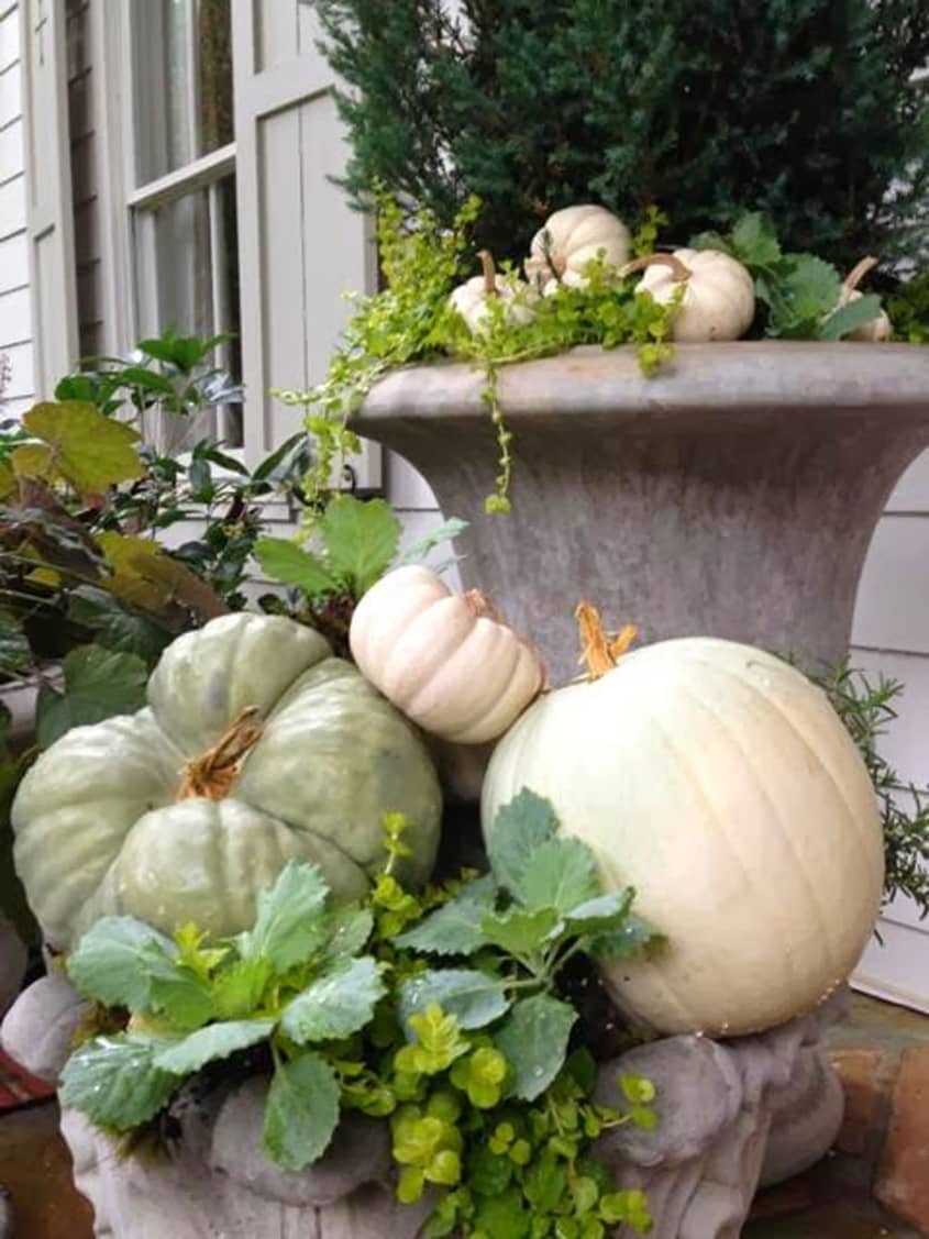 Porch Pizzazz: Halloween & Thanksgiving Outdoor Decorating Ideas ...