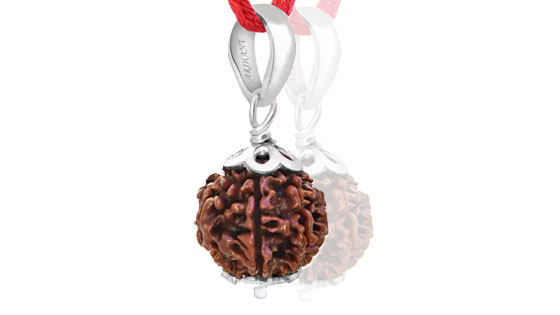 Rudraksha