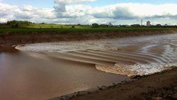 Tidal Bore, Bore Park, Moncton