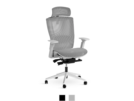 ErgoChair Mesh <sub>New</sub>