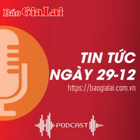 Tin tức ngày 29-12: Nuôi đà điểu thương phẩm: Hướng đi mới của nông dân Phú Thiện