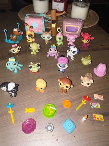 Lot  littlest PetShop