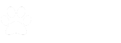 belpatt