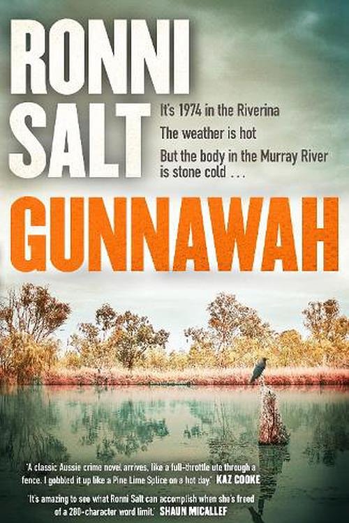 Cover Art for 9780733652905, Gunnawah by Ronni Salt