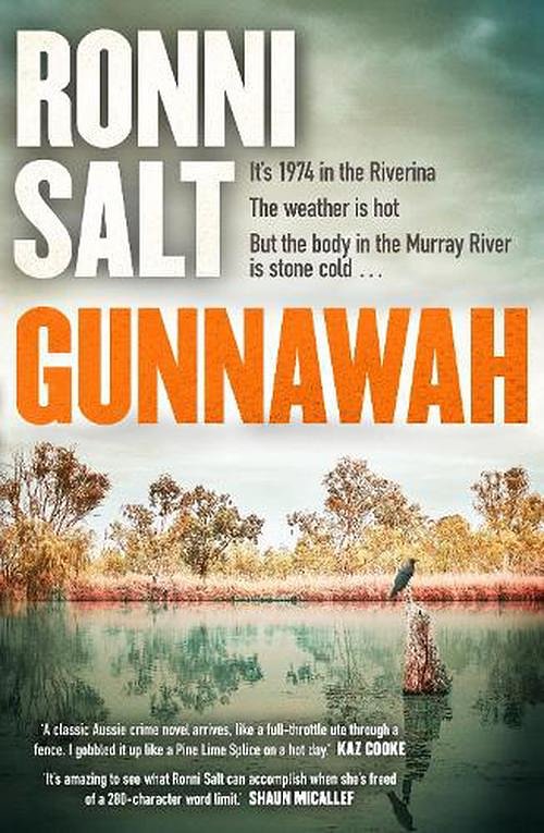 Cover Art for 9780733652905, Gunnawah by Ronni Salt