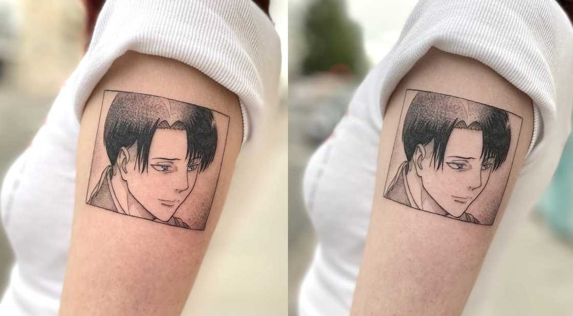 Levi Ackerman