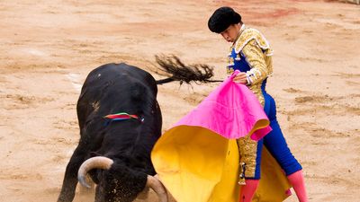 Juli, El; bullfighting