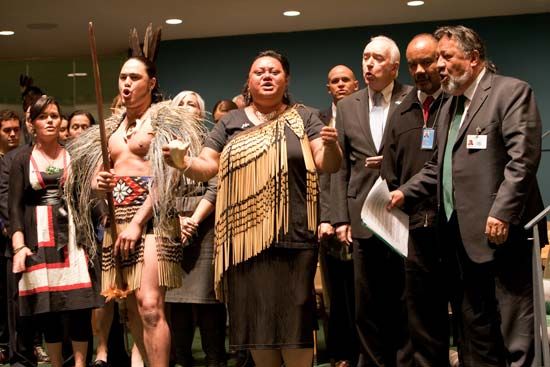 Declaration on the Rights of Indigenous Peoples