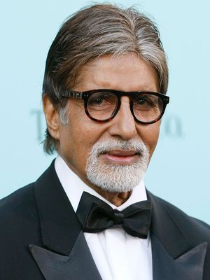 Amitabh Bachchan, 2013