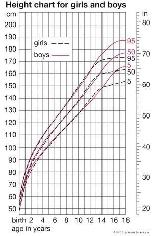 human development: height curves