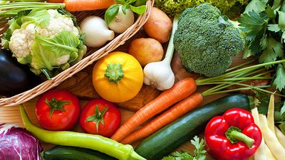 Fresh vegetables, carrots, cabbage, broccoli, peppers, tomato, squash