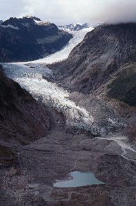 Fox Glacier