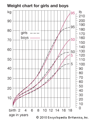 human development: weight curves