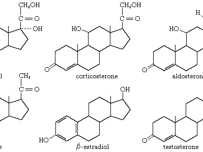 steroid hormones