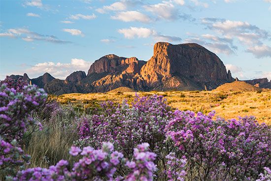 Texas: Chisos Mountains