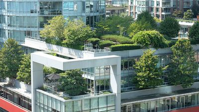 Rooftop and patio gardens amidst modern office and residential towers in downtown city center, Vancouver, British Columbia, Canada. (green roofs, roof gardens)