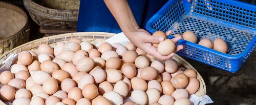 A vendor selects some eggs to sell, Bagan, Myanmar