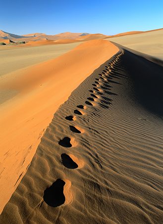 desert