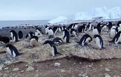 Know about a marine reserve area created in the Ross Sea by a commission representing 24 countries