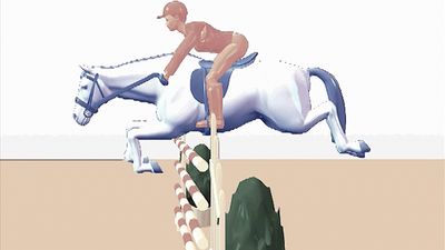 Watch: A horse jumping over a hurdle