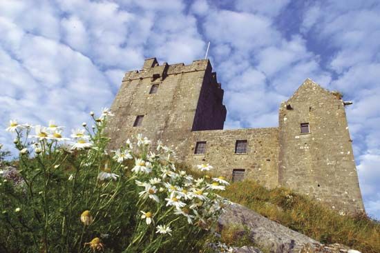 Dunguaire Castle