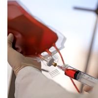 blood. Close-up of a technician drawing human blood with syringe from blood bag at a blood bank. Blood donation, Healthcare and medicine, needle