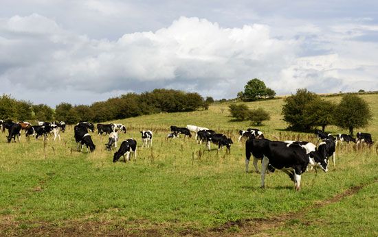 Somerset, England