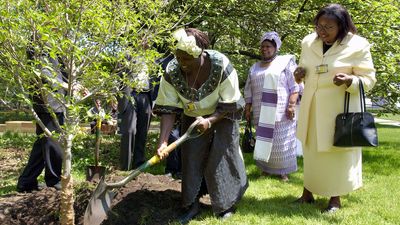 Wangari Maathai (with shovel), winner of the 2004 Nobel Peace Prize, participates in a tree planting ceremony in the North Garden of UN Headquarters, 2005