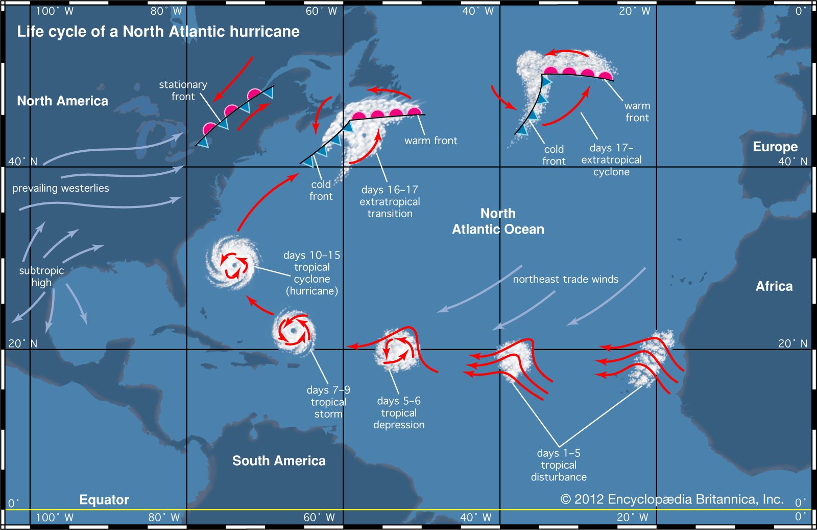 √ Tropical Cyclone Diagram : Causes Of Tropical Cyclones Geography Myp ...