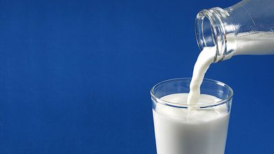 Milk being poured into glass.