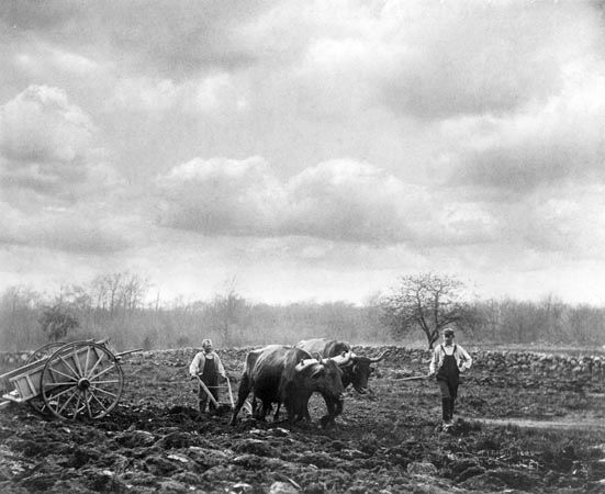 spring plowing