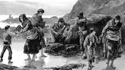 The devastating impact of Ireland's Great Potato Famine