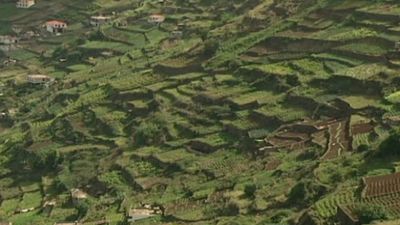 Extreme agriculture: Terrace cultivation on Madeira Island, Portugal