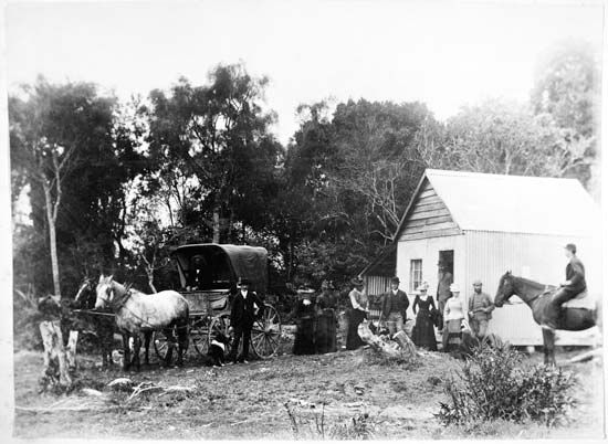 New Zealand: women voting