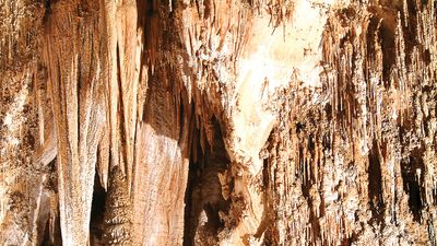 Carlsbad Caverns National Park