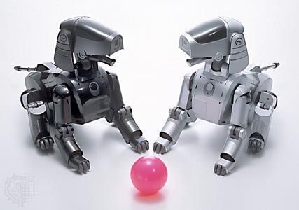 Entertainment robots