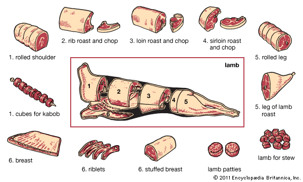 lamb production: cuts