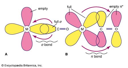 Carbon monoxide is a neutral ligand, meaning it does not carry an ionic charge. The empty π orbitals in carbon monoxide molecules accept d orbital electrons from metal atoms, thereby stabilizing the oxidation state of metal atoms.