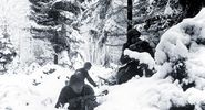 American soldiers in the Ardennes during the Battle of the Bulge.