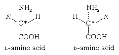 Proteins. Formula 4: The tetrahedral (four-faced arrangement of the bonds around the a-carbon (C*). The solid lines represent bonds that slant upward from the plane of the drawing (i.e. toward the reader). 