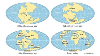 Actual continental drift of plates. Thematic map.