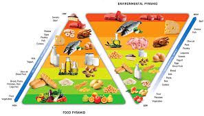 Food security challenges and solutions