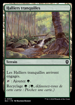 Halliers tranquilles image