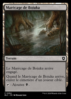 Marécage de Bojuka image