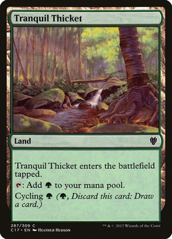 Tranquil Thicket