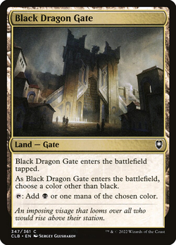 Black Dragon Gate image