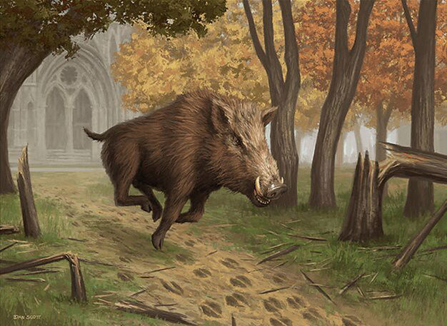 Territorial Boar Crop image Wallpaper